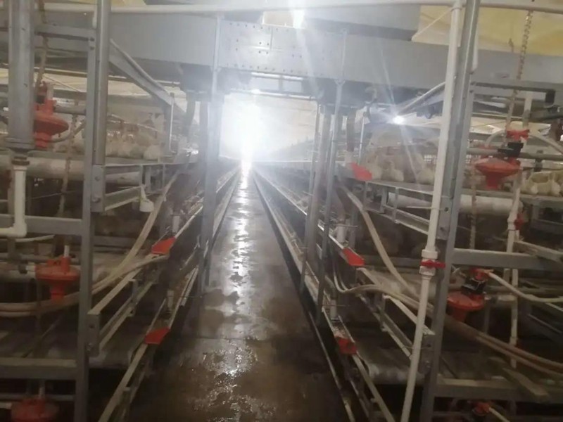 尊龙凯时 - 人生就是搏!